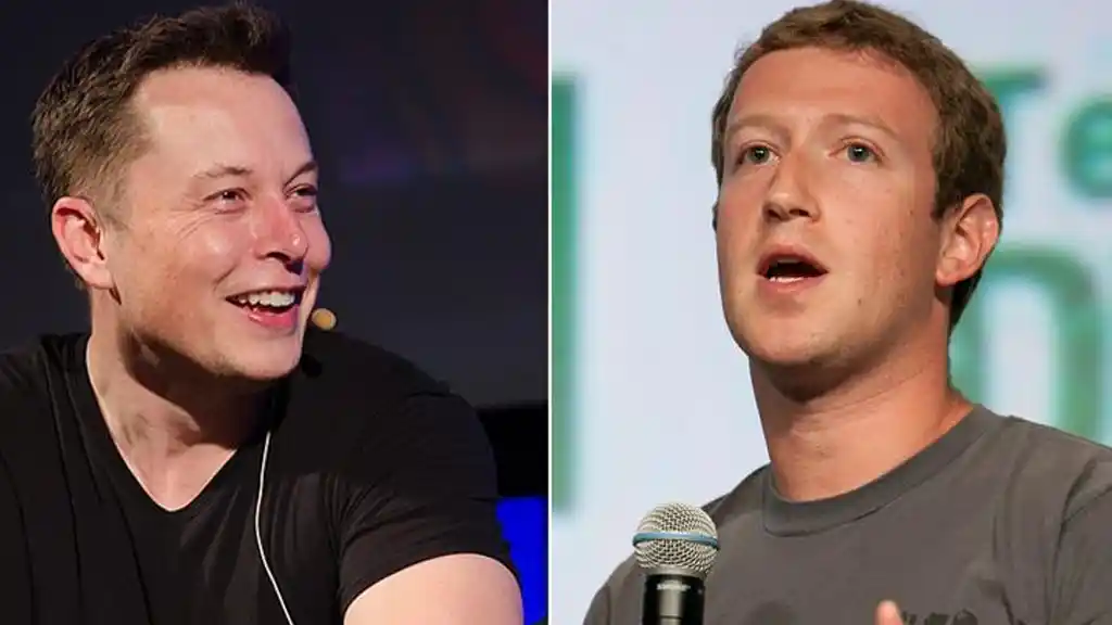 Zuck Is A Cuck Elon Musk To Mark Zuckerberg EONMSK News