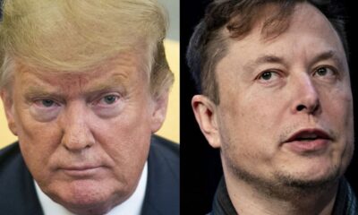 donald trump elon musk