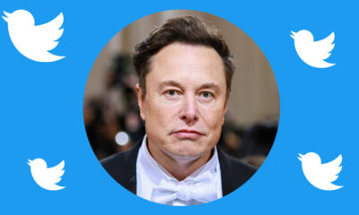 elon musk twitter