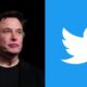 elon musk and Twitter