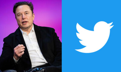 elon musk twitter