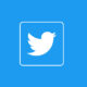Twitter square profile picture