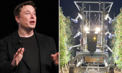 Elon Musk Robot Apple