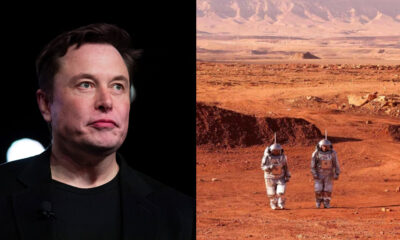 Elon Musk Humans Mars