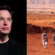 Elon Musk Humans Mars