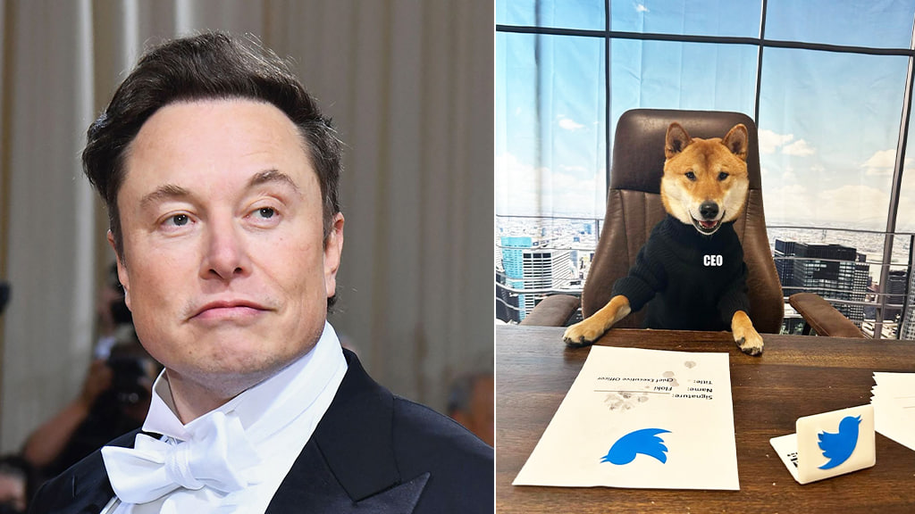 Elon Musk announces new Twitter CEO and he represents Dogecoin - EONMSK ...