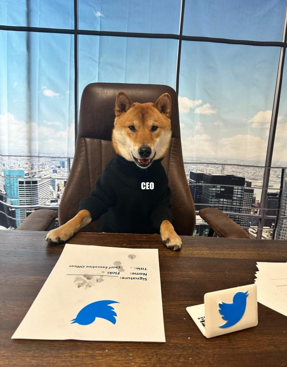 Elon Musk announces new Twitter CEO and he represents Dogecoin EONMSK