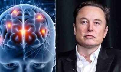 Elon Musk human data rate Neuralink