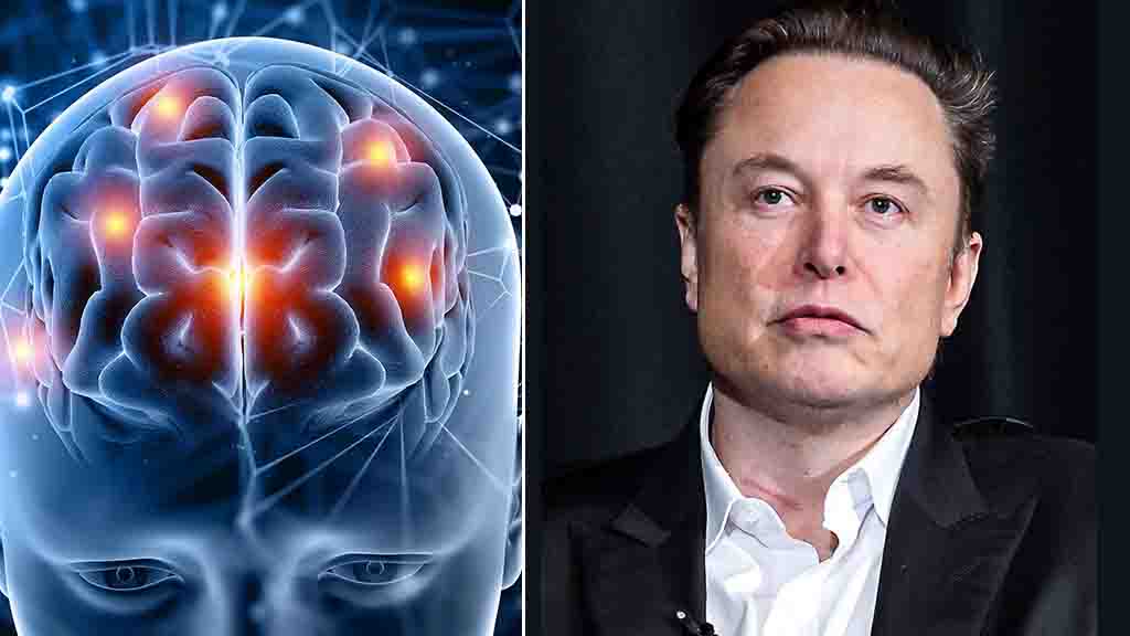 Elon Musk human data rate Neuralink