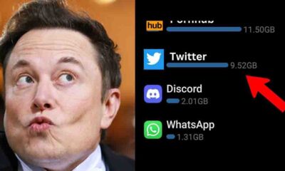 Elon Musk Pornhub storage
