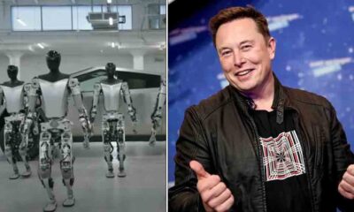 Optimus robot Elon Musk