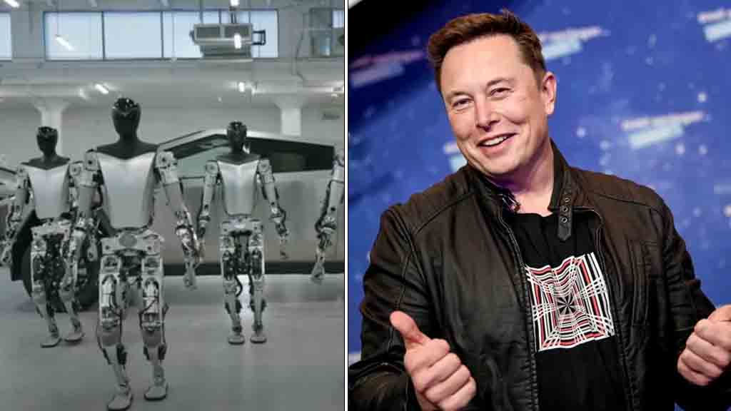Optimus robot Elon Musk