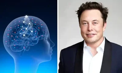 Neuralink Elon Musk