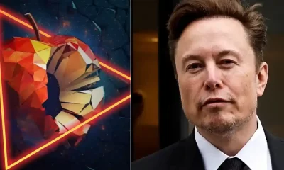 Elon Musk ioS vulnerability