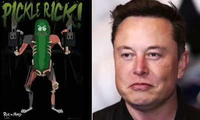 Elon Musk pickle rick