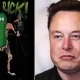 Elon Musk pickle rick