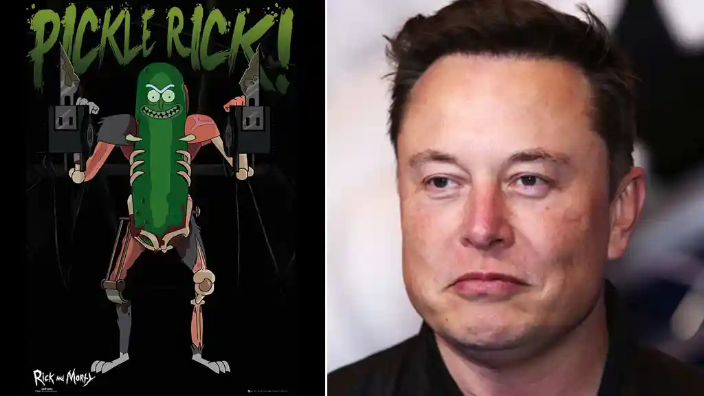 Elon Musk pickle rick