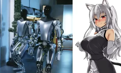 Optimus Catgirl Elon Musk