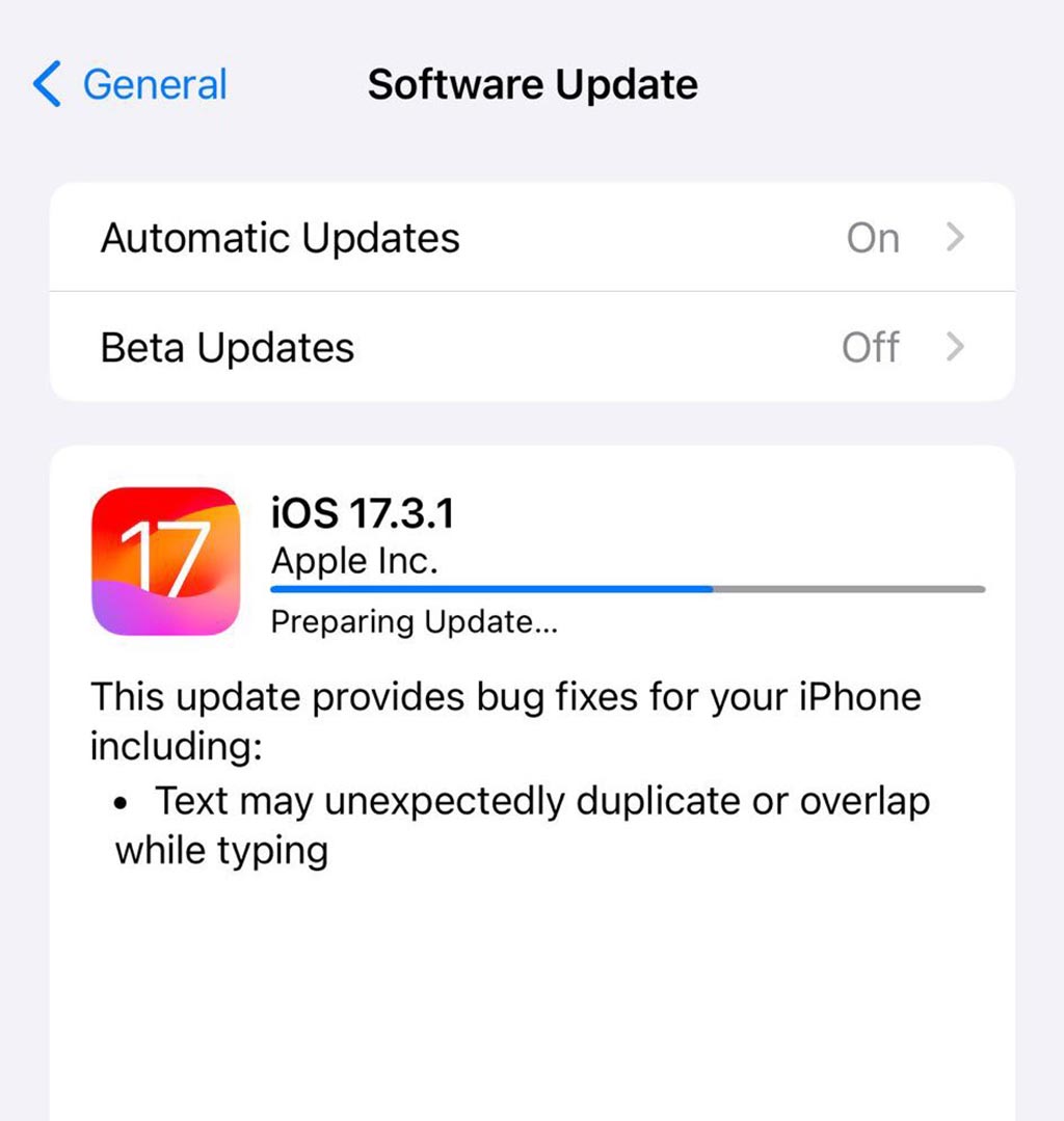 iOS 17.3.1 update screenshot