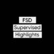 Tesla FSD Highlights