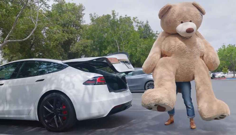 Tesla Hands-Free Trunk