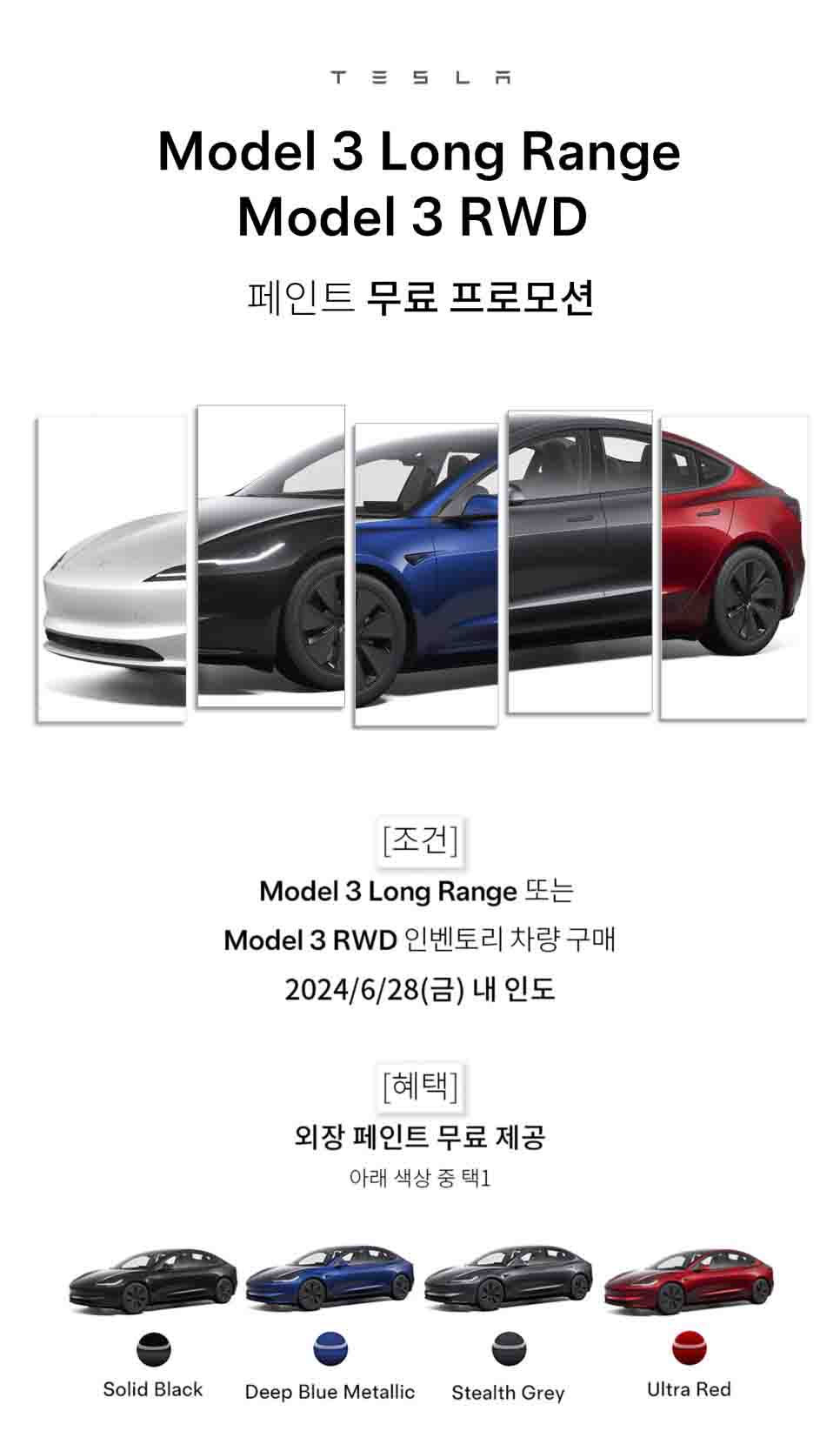 Tesla Model 3 Free Paint Korea