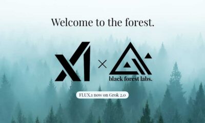 xAI Grok 2 Black Forest Lab