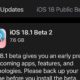 iOS 18.1 Public Beta 2