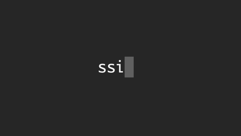 SSI AI