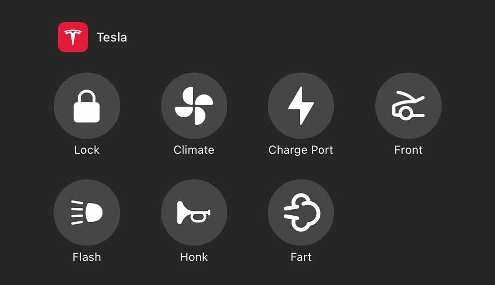 New Tesla App Controls for iOS 18