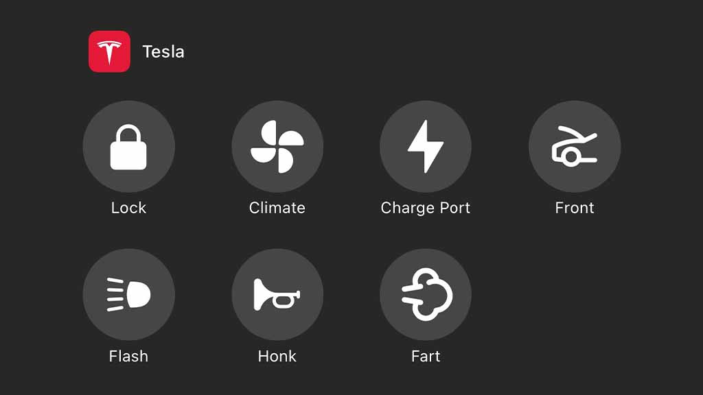New Tesla App Controls for iOS 18