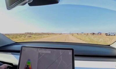 Mark Rober's Tesla Autopilot